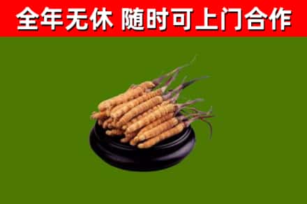 金溪回收冬虫夏草