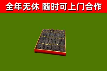 金溪回收海参